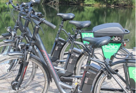 Knipselebike (Middel) Knipselebike (Middel)